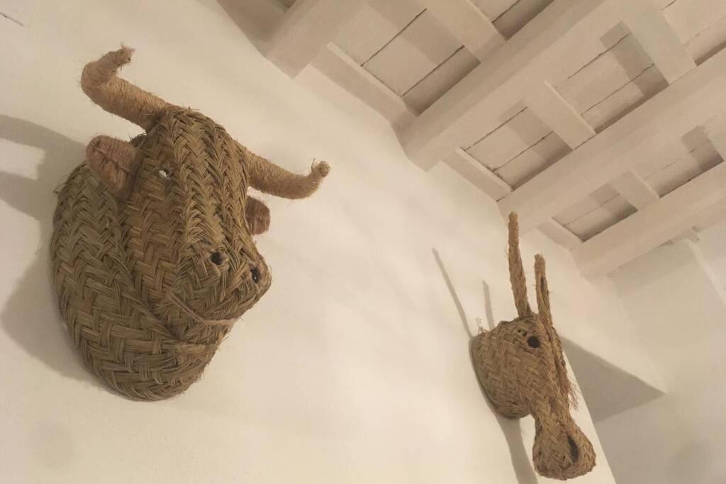 博尔诺斯La Puerta Azul别墅 外观 照片