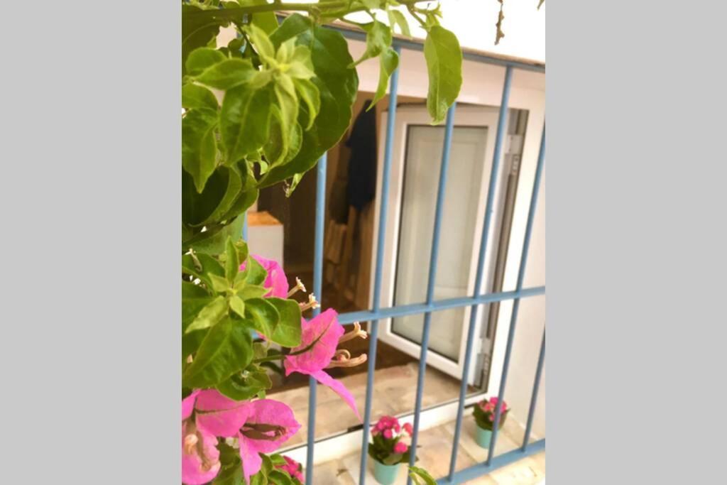博尔诺斯La Puerta Azul别墅 外观 照片
