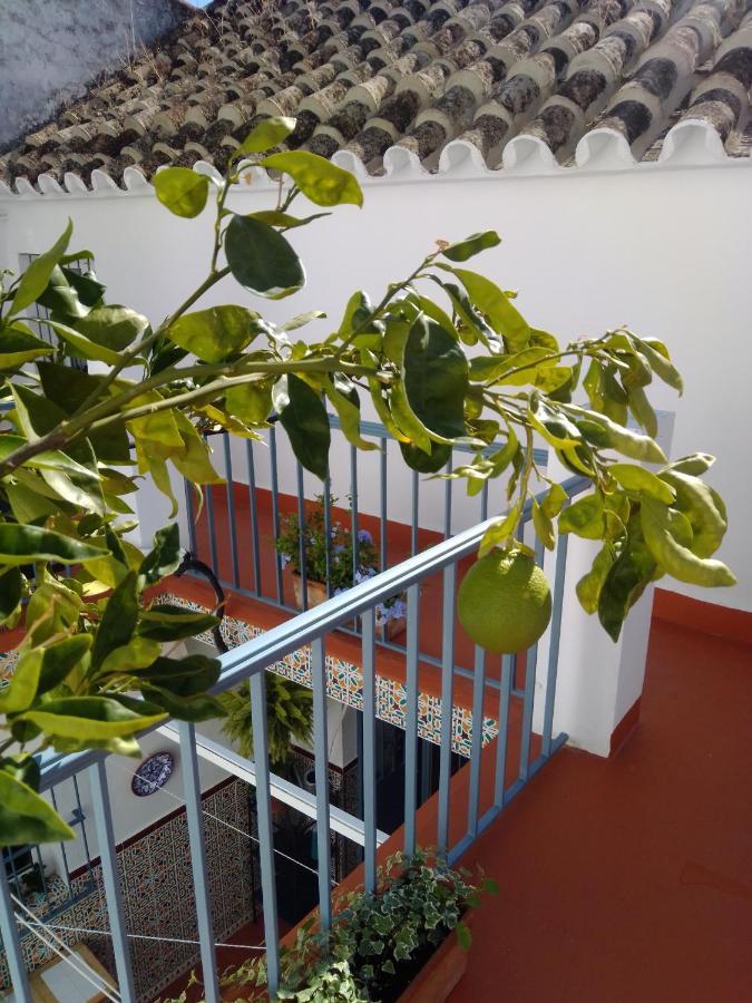 博尔诺斯La Puerta Azul别墅 外观 照片